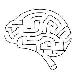 brain image for science and study