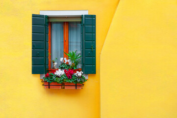 Fototapeta na wymiar Yellow painted facade of the house and window with flowers. Burano, Italy.