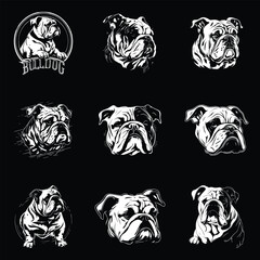 bull dog design- vector face- 9 design of dog face can be used for t-shirt, logo.