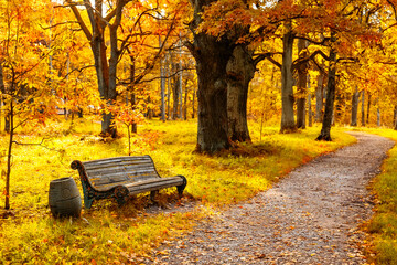 Old wooden bench in the autumn park under colorful autumn trees with golden leaves. - obrazy, fototapety, plakaty