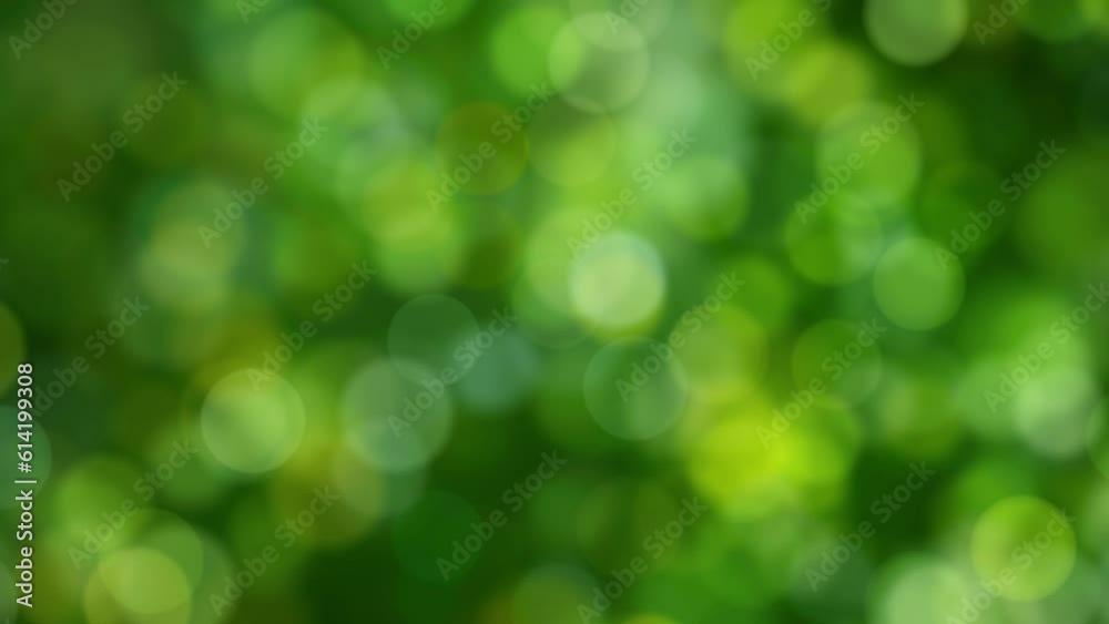 Wall mural loopable abstract background of a green natural bokeh
