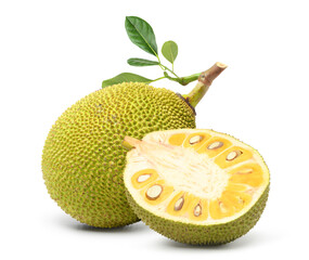 Jackfruit with cut in half isolated on white background.