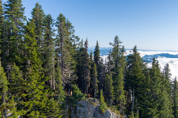 High Rock Lookout and Mount St Helens on the horizon 