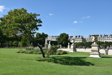 Le jardin des Tuileries à Paris en été. France