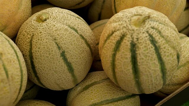 Fresh cantaloup melons on organic bio farmers market, Cavaillon, muskmelon