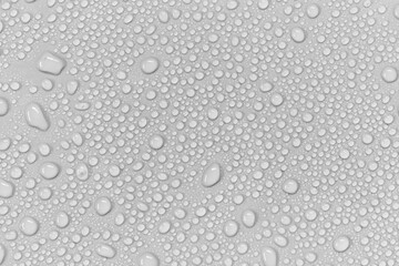 Water droplets on a gray background.