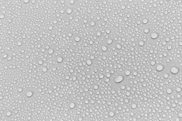 Water droplets on a gray background.