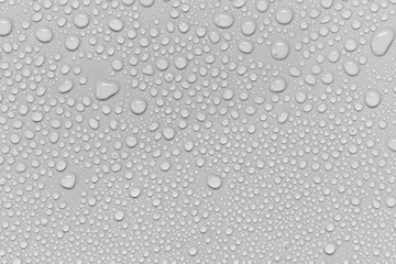 Water droplets on a gray background.
