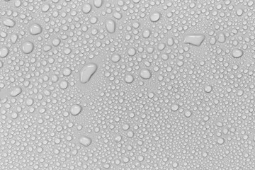 Water droplets on a gray background.
