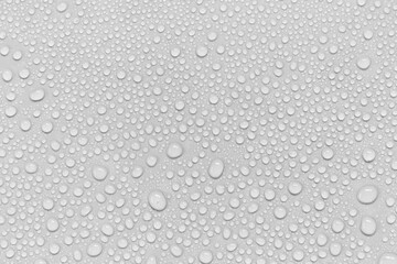 Fototapeta na wymiar Water droplets on a gray background.