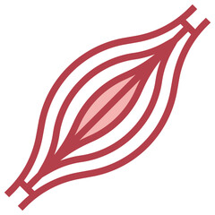 MUSCLE line icon,linear,outline,graphic,illustration