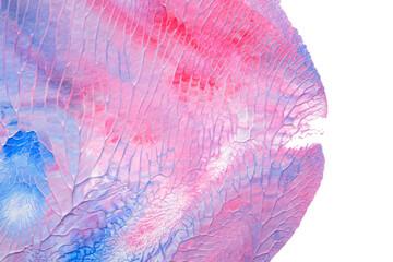 blue pink abstract acrylic painting color texture on white paper background by using rorschach...