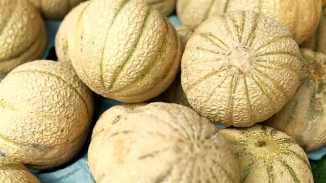 Fresh cantaloup melons on organic bio farmers market, Cavaillon, muskmelon