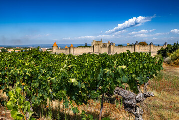 Fototapeta na wymiar Spectacular Ancient Fortress Of Medieval City Carcassonne And Vineyards In Occitania, France