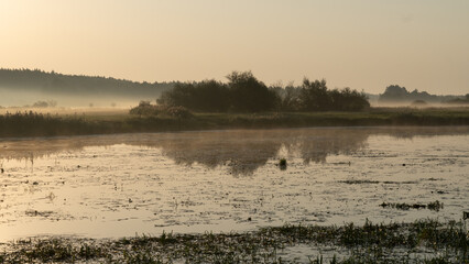 Foggy morning in the valley on the Suprasl River at sunrise.
