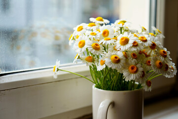 Chamomile flowers on the windowsill - 614213921