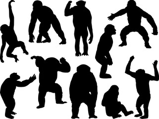 Set of Chimpanzee Silhouette