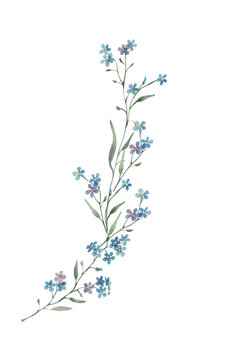long thin bouquet of watercolor forget-me-nots, semi round