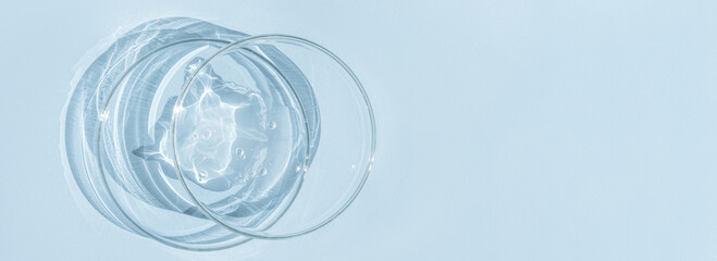Petri dishes. With transparent gel. On a blue background.