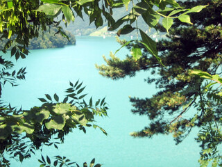 A turquoise sea bay can be seen through the leaves of tree branches