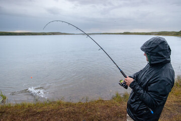 Fisherman catching coho salmon in Egegik river in Alaska. The fish are in abundant supply in Alaskan water.