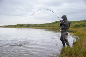 Fisherman catching coho salmon in Egegik river in Alaska. The fish are in abundant supply in...