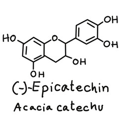 Chemical structures in food and what we eat every day