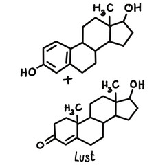 Chemical structures in food and what we eat every day