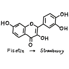 Fototapeta premium Chemical structures in food and what we eat every day