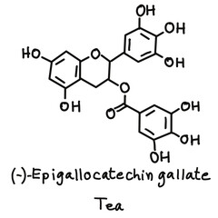 Chemical structures in food and what we eat every day