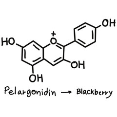 Chemical structures in food and what we eat every day