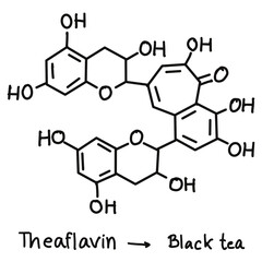 Chemical structures in food and what we eat every day