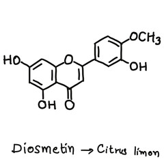 Chemical structures in food and what we eat every day