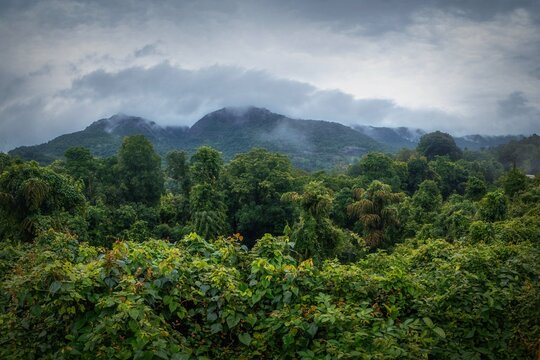 View from Indian train to unique and amazed nature scenic landscape of rain forest near Dudhsagar Falls. Goa, India. Tourism beautiful destination place.  Discover India. Open world after covid-19