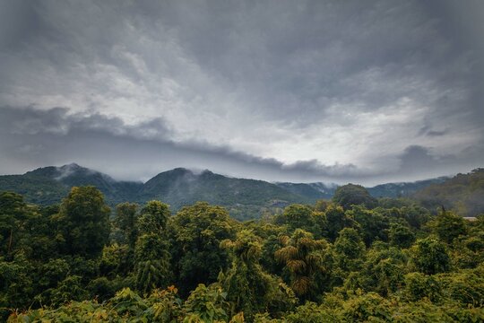 View from Indian train to unique and amazed nature scenic landscape of rain forest near Dudhsagar Falls. Goa, India. Tourism beautiful destination place.  Discover India. Open world after covid-19