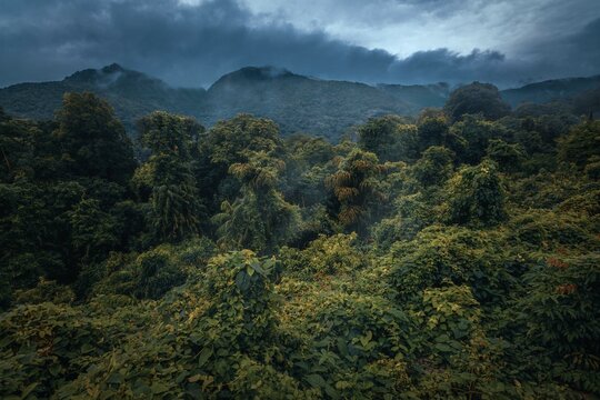View from Indian train to unique and amazed nature scenic landscape of rain forest near Dudhsagar Falls. Goa, India. Tourism beautiful destination place.  Discover India. Open world after covid-19