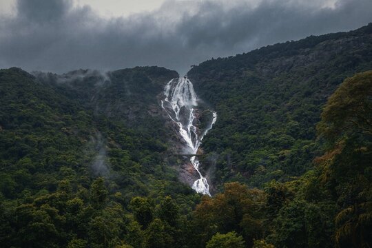 Unique and amazed nature scenic landscape of  Dudhsagar Falls in rain forest. Sonaulim, Goa, India. Tourism beautiful destination place.  Discover the beauty of earth. Open world after covid-19