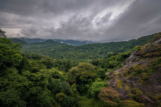 View on unique and amazed nature scenic landscape of rain forest and jungle near Dudhsagar Falls. Goa, India. Tourism beautiful destination place.   Open world after covid-19