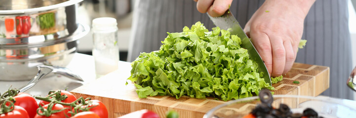 Male cook makes vegetable salad and cuts green lettuce leaves. Cooking delicious vegetarian salads concept