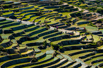 The pouring water season makes the terraced fields of Y Ty commune, Lao Cai province, Vietnam appear with brown soil blending with the beautiful sky.