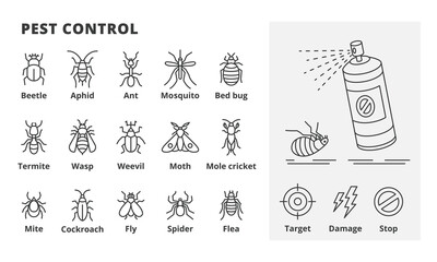 Pest Control line icons. Pests vector illustrations. Spray, Mosquito,Beetle, Aphid, Ant, Bed bug, Termite, Wasp,Weevil, Moth, Mole cricket, Mite, Cockroach, Fly, Spider, Flea icons isolated