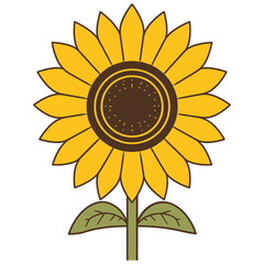 Sunflower flowers with stems and leaves