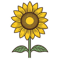 Sunflower flowers with stems and leaves