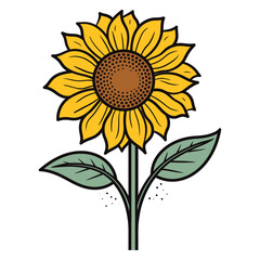 Fototapeta premium Sunflower flowers with stems and leaves