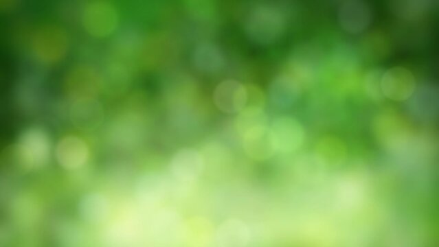 Looped animated abstract green natural background with defocused particles floating