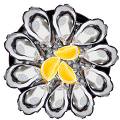 Oysters and lemon put on iced cubes draw and paint png