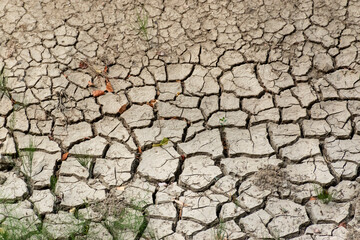dry cracked earth