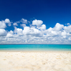 beach and beautiful tropical sea