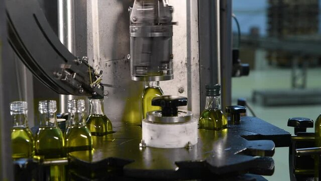 Olive oil in glass bottles moving on production line. Olive oil production factory.