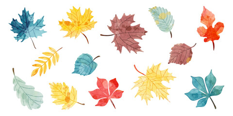 Autumn leaves. Watercolor. Vector illustration of colorful leaves.